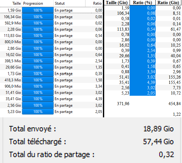 My individual and global ratios