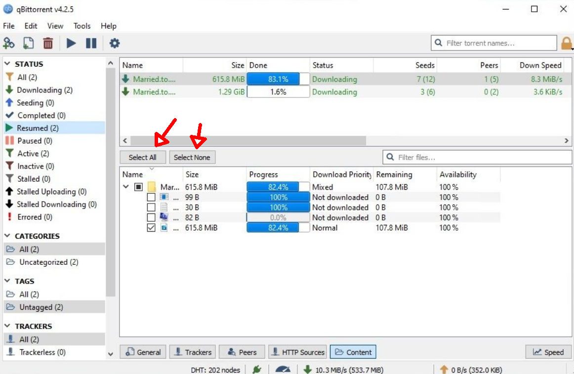 Screenshot 2023-11-21 at 13-41-35 qBittorrent 4.5 - Download for PC Free.png